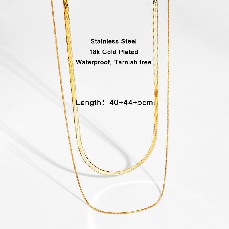 Gold Double layer necklace with Snake Chain